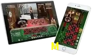 333M